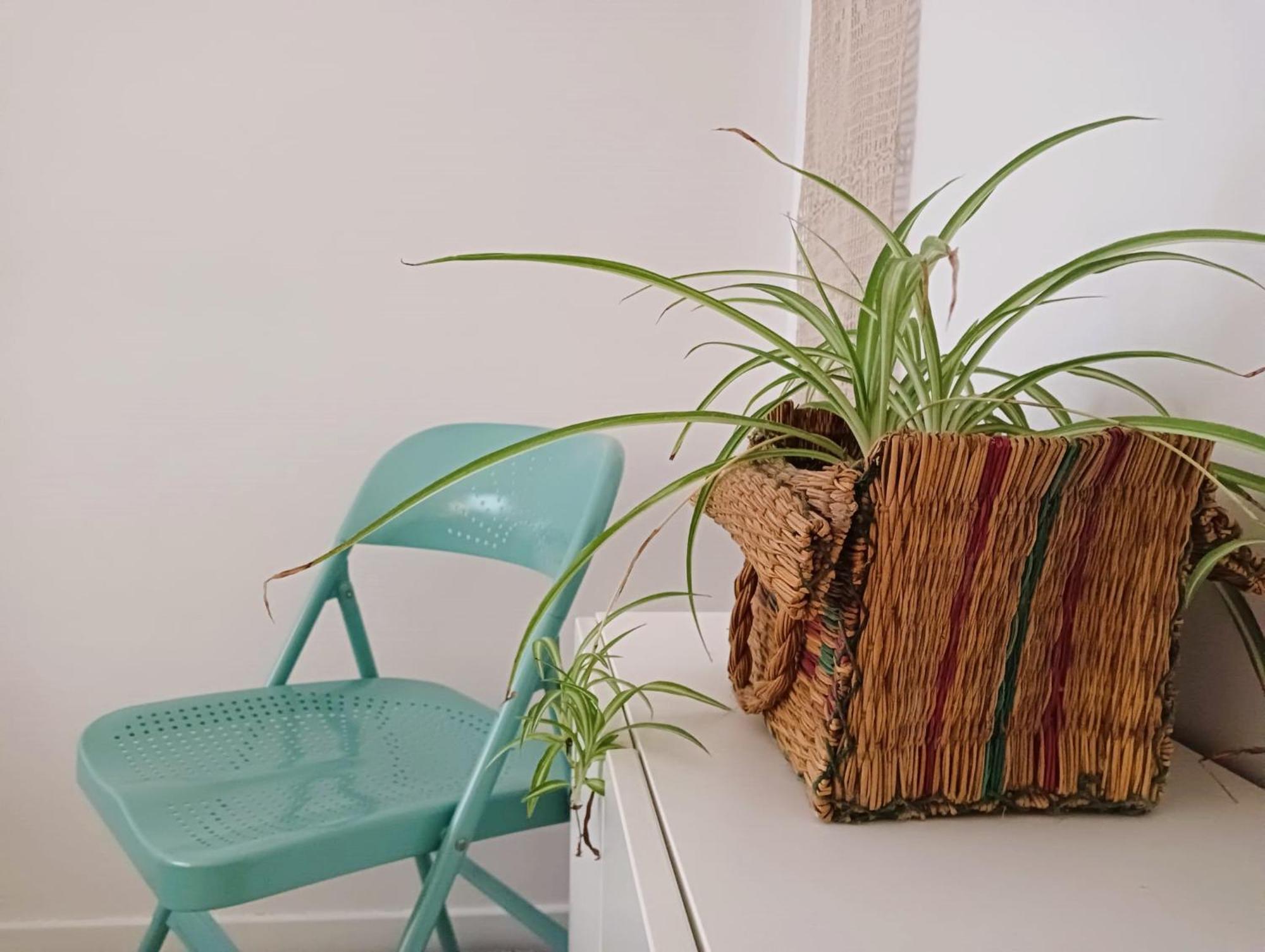 Apartmán La Maceta Vilagarcia de Arousa Exteriér fotografie