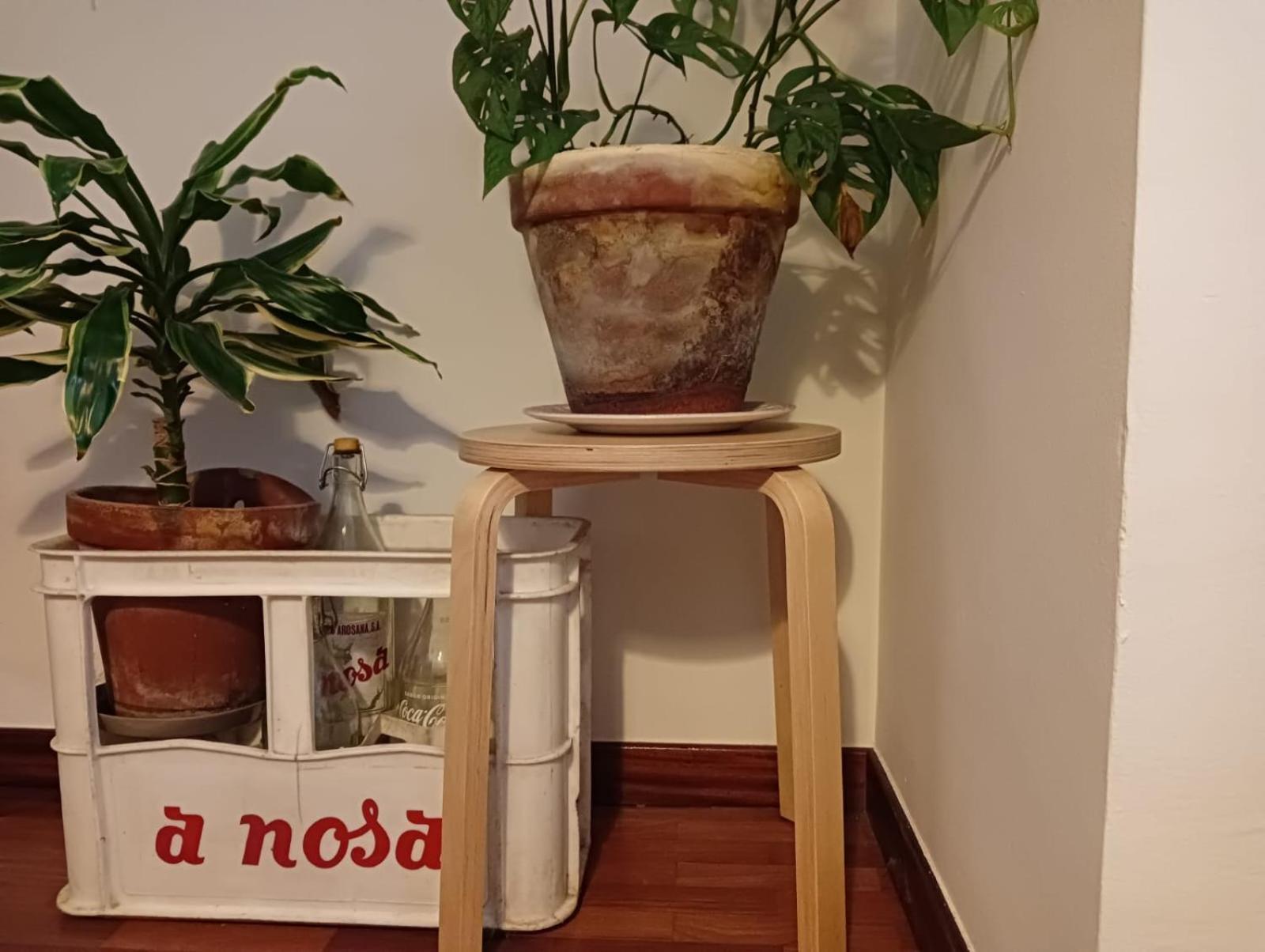 Apartmán La Maceta Vilagarcia de Arousa Exteriér fotografie