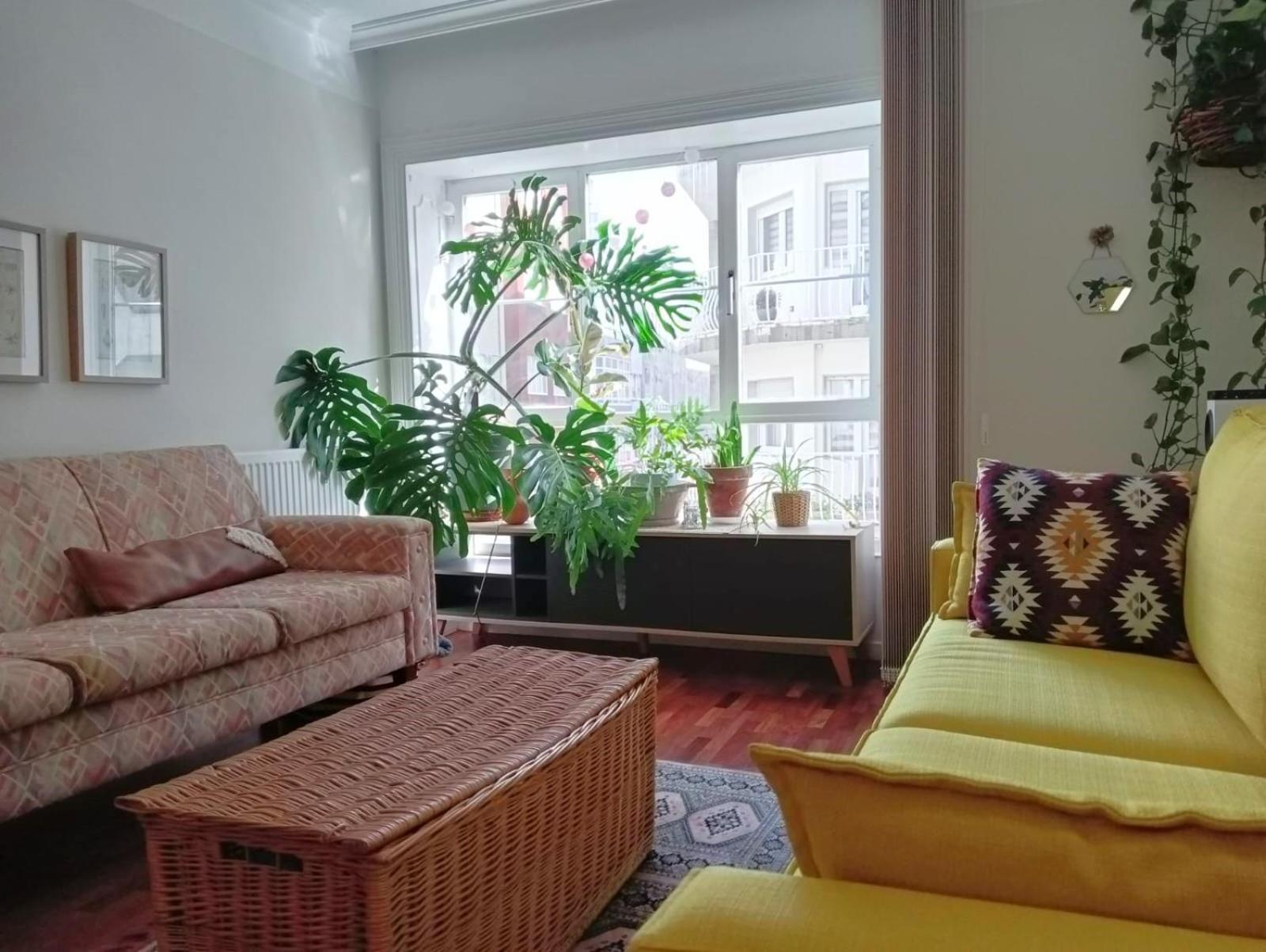 Apartmán La Maceta Vilagarcia de Arousa Exteriér fotografie